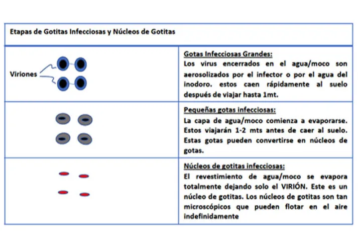 Gotas infecciosas y núcleos de gotitas